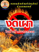 งดเผา