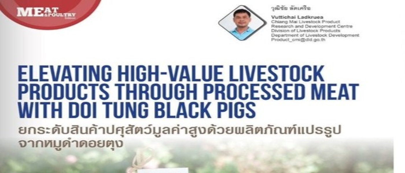 ‘หมูดำดอยตุง’ สัตว์พื้นเมืองที่สามารถแปรรูปเพื่อเพิ่มมูลค่า และสร้างรายได้ให้กับคนในชุมชน