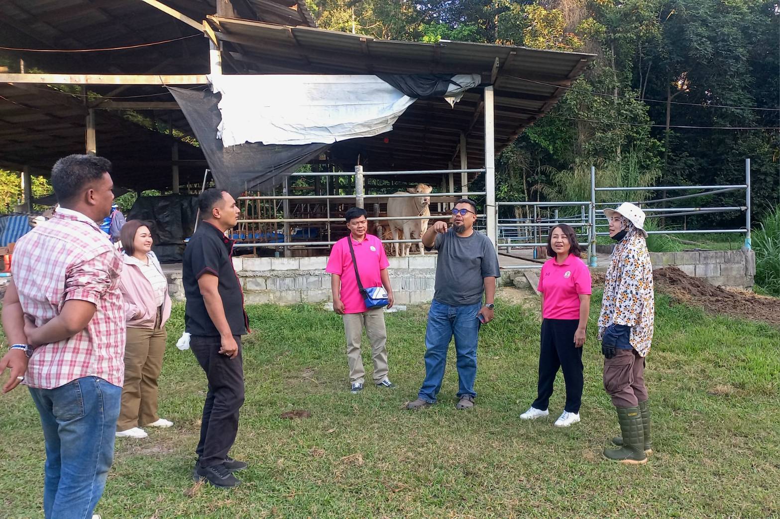 consultation on cutting and processing to cattle farmers in Narathiwat Province5