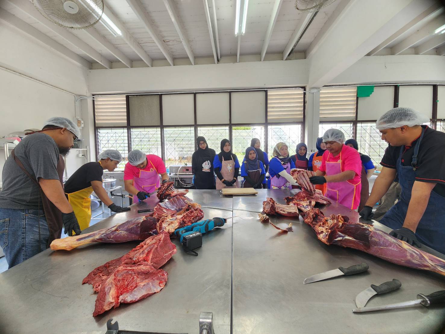 training course under the Beef Processing Knowledge 3