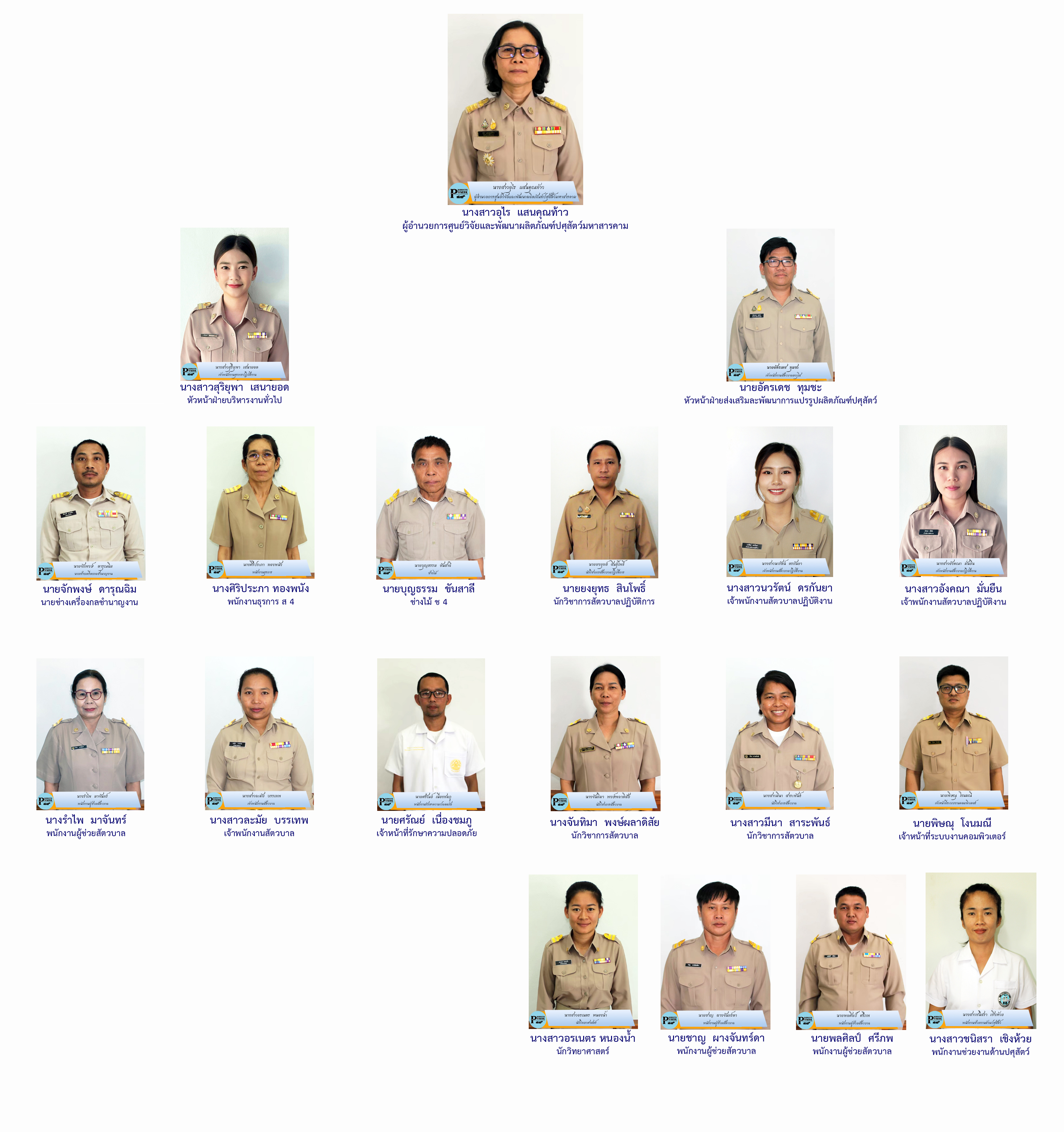 Organization MSK