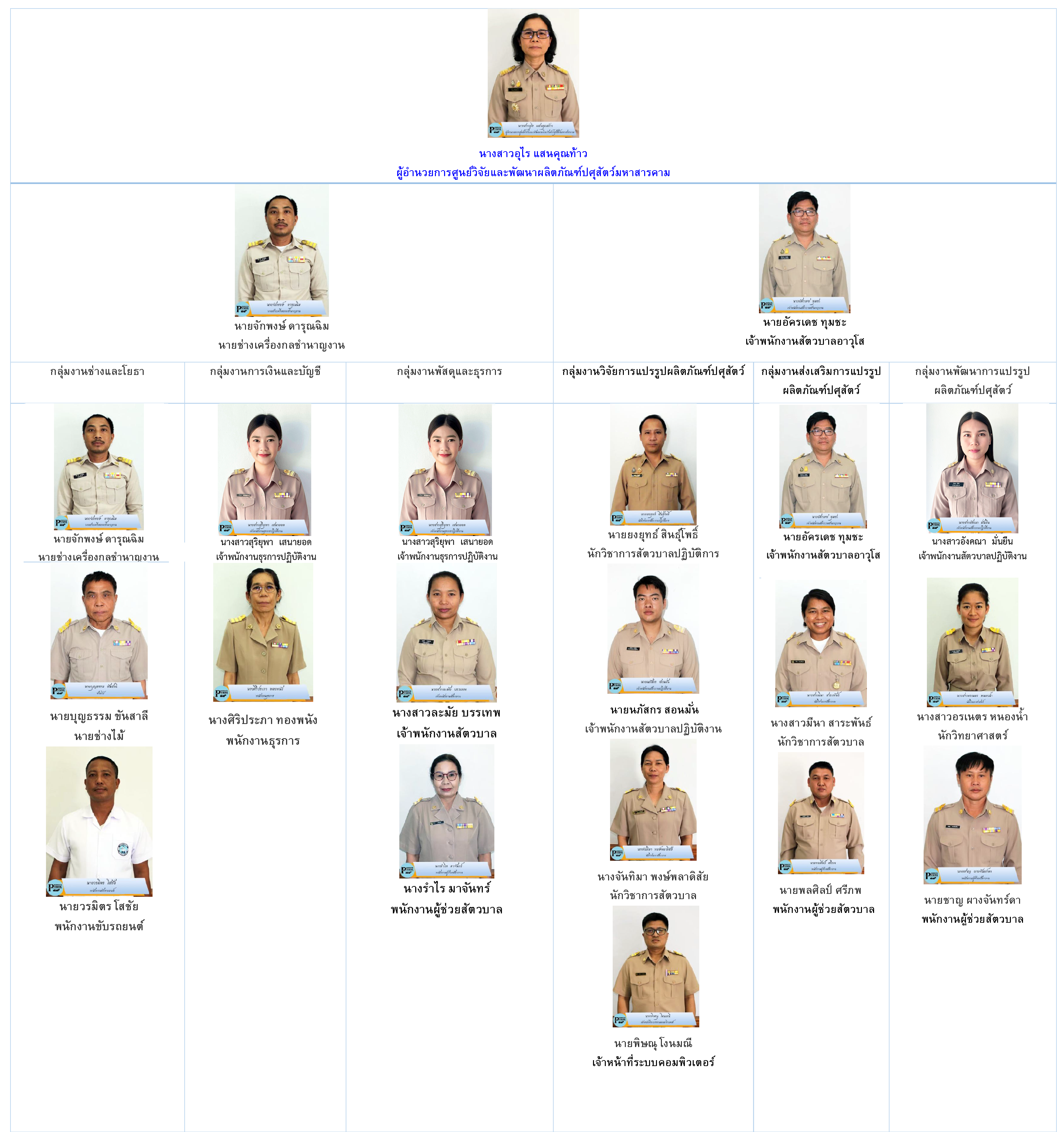 Organization MSK