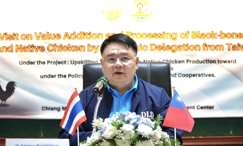 กรมปศุสัตว์ต้อนรับคณะผู้แทนจากไต้หวัน ศึกษาดูงานการเพิ่มมูลค่าการผลิตไก่พื้นเมืองและไก่กระดูกดำไทย สานต่อความร่วมมือวิชาการไทย–ไต้หวัน เพื่อยกระดับเกษตรกรผู้ไก่พื้นเมืองสู่ตลาดสากล