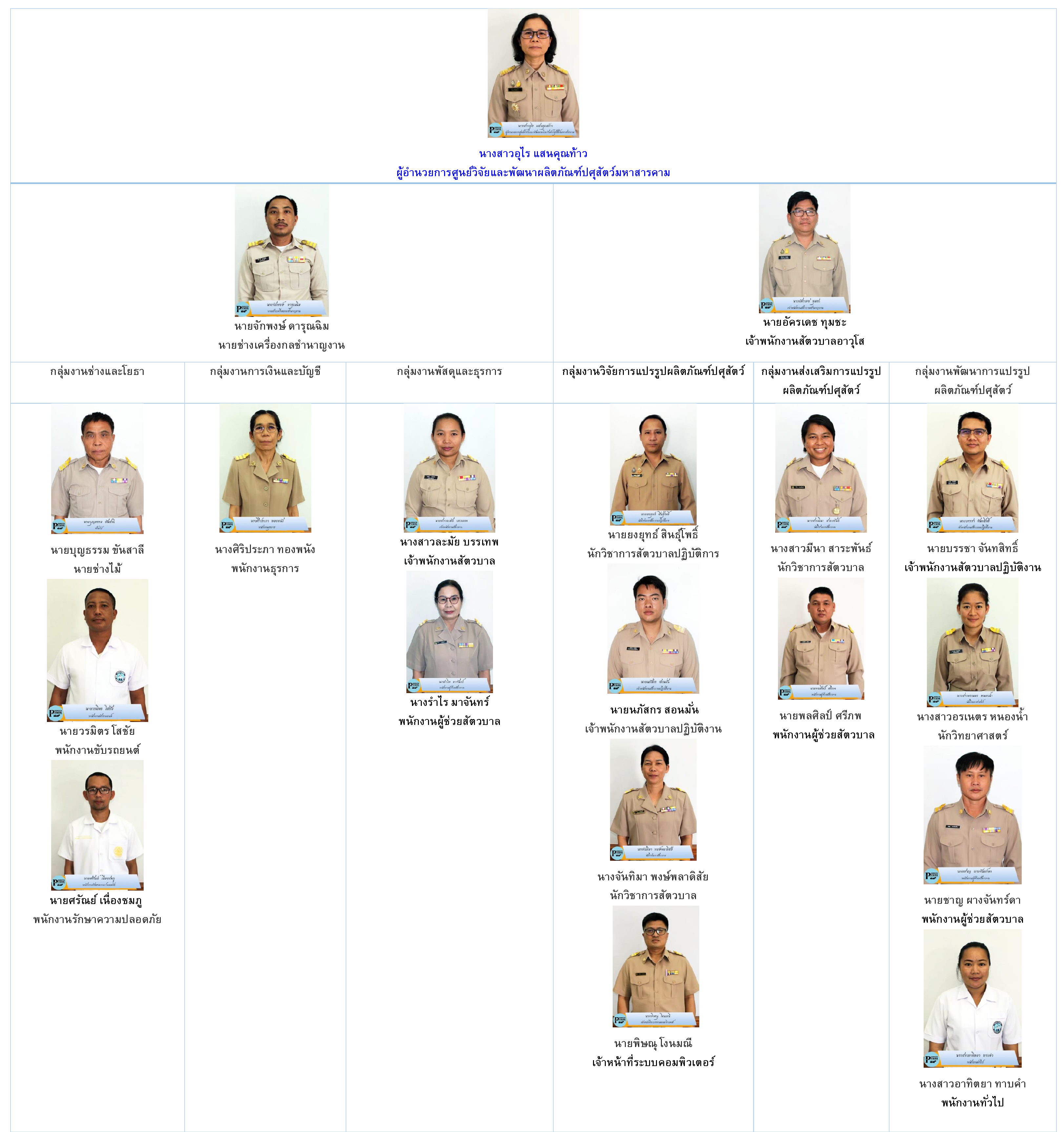 Organization MSK